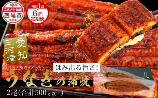 【定期便】三河産うなぎ「超おばけ蒲焼き2尾(合計500g以上)」×6回(隔月1回　1年間)・A134-120  うなぎ 本格 鰻 ウナギ 蒲焼 愛知県 西尾市 愛知養魚 惣菜 海鮮