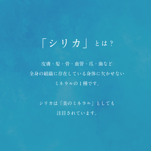 ＜Gaivota炭酸水　2箱（300ml×12本/箱）＞北のハイグレード食品　北海道乙部町の天然シリカ炭酸ミネラルウォーター