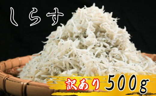 しらす 500g 訳あり 冷凍 ちりめん かちり しらす干し 減塩 極み ごはん 丼 パスタ チャーハン サラダ 魚 料理 山庄 愛知県 南知多町 師崎