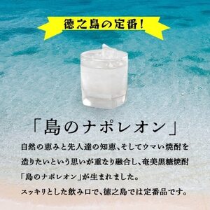【毎月定期便】奄美黒糖焼酎 島のナポレオン 900ml 紙パック 12本セット全12回【4074147】