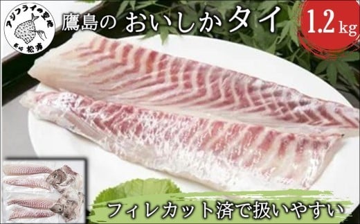 鷹島のおいしかタイ1.2kg