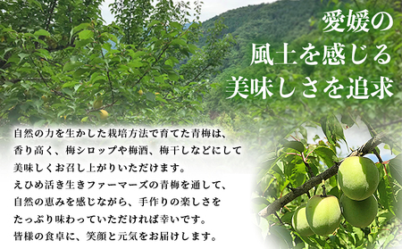 ＜愛媛県西予市産 青梅 約3kg＞ うめ ウメ あおうめ アオウメ 梅干し 梅ジュース 梅ジャム 梅シロップ 梅酒 手作り 家庭用 ご自宅用 えひめ活き生きファーマーズ 愛媛県 西予市【常温】『202