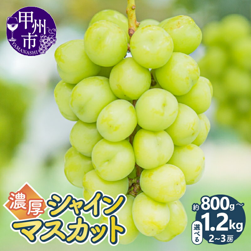 【ふるさと納税】 シャインマスカット 2026年 発送 選べる 容量 約800g 2房 約1.2kg上 2房～3房 8月 9月 10月 発送 果物 産地直送 期間限定 フルーツ 葡萄 ぶどう ブドウ 果実 ギフト 贈答 厳選 山梨県 甲州市 おすすめ 社員マスカット (KKK)