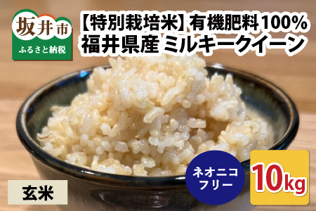 【先行予約】【令和7年産・新米】【特別栽培米】福井県産 ミルキークイーン 10kg ～化学肥料にたよらない100%の有機肥料～ ネオニコフリー （玄米）【2025年10月上旬以降順次発送予定】 [A-13406_02]