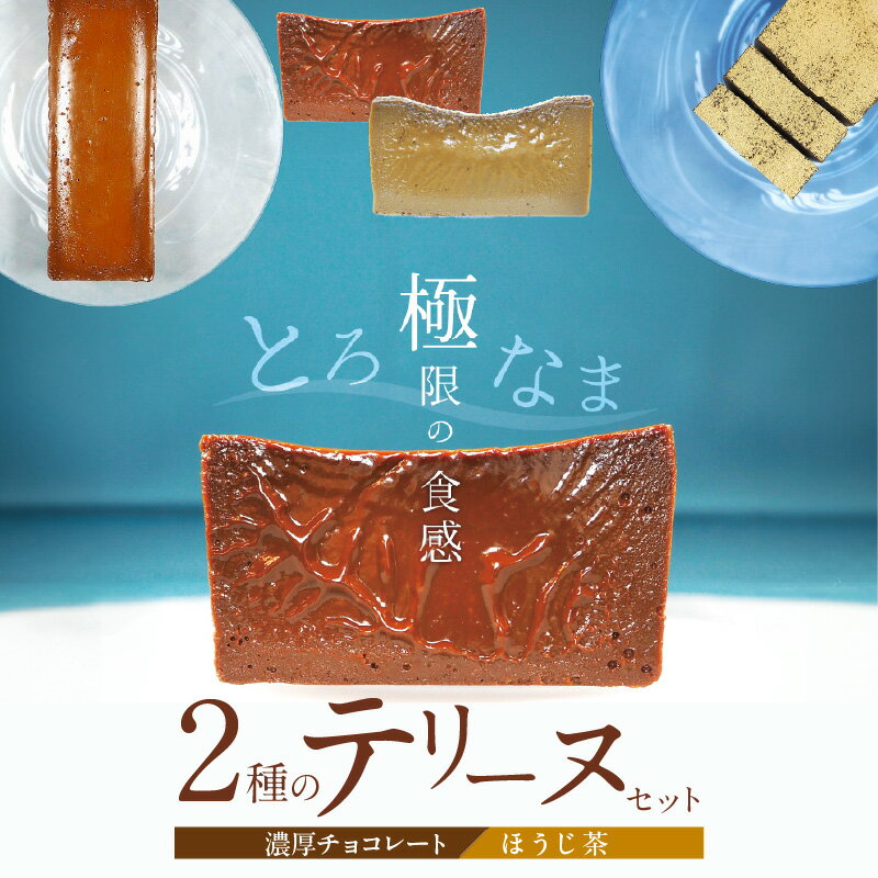 【ふるさと納税】（約200g） 濃厚 チョコレート ほうじ茶 2種 テリーヌ セット グルテンフリー 保存料不使用 ホワイトチョコ スイーツ デザート おやつ なめらか 冷凍 国産 専門店 人気 安心 安全 フレンチシェフ 愛知県 碧南市 お取り寄せ お取り寄せスイーツ 送料無料