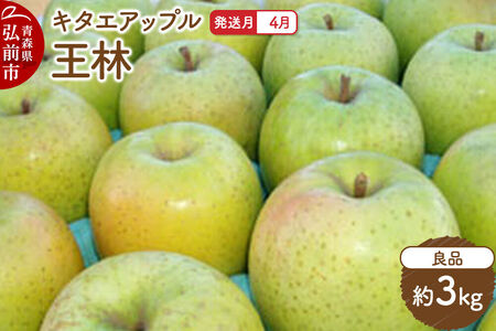 【26年4月クール便発送】りんご 王林【良品】約3kg【CA貯蔵】キタエアップル