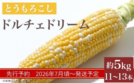324 とうもろこし ドルチェドリーム 約5kg 11～13本 朝採れ バイカラー 黄 白 茨城 先行予約 2026年7月頃～発送予定
