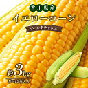 【ふるさと納税】イエローコーン（ゴールドラッシュ）約3kg　【野菜・とうもろこし・野菜・野菜セット】　お届け：2024年6月中旬～7月上旬