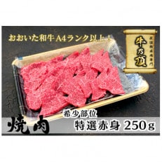 おおいた和牛A4ランク以上　特選赤身焼肉用250g【低温熟成】