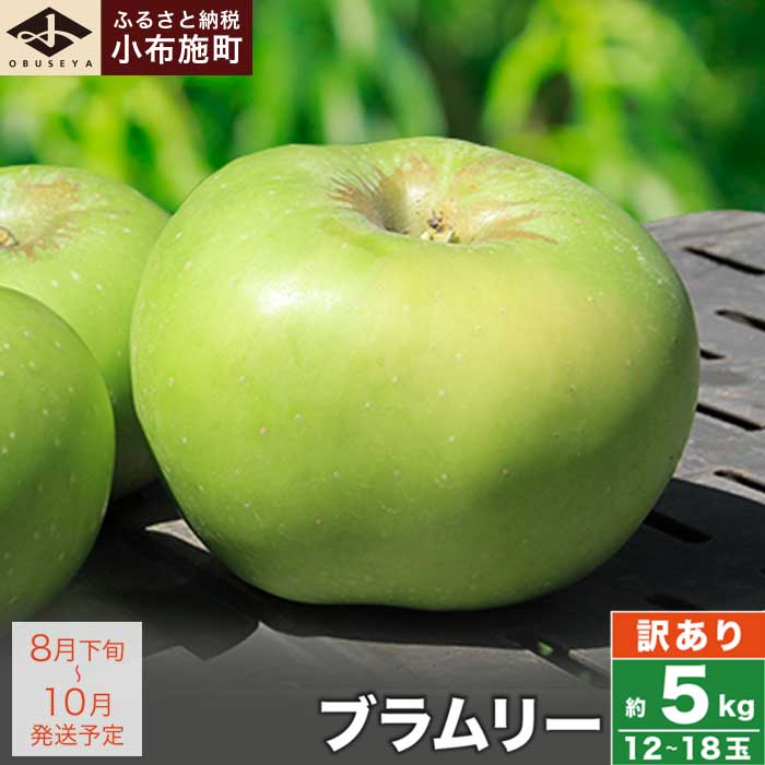 【ふるさと納税】 【訳あり】 クッキングアップル ブラムリー 約5kg 12～18玉 ［小布施屋］フルーツ 果物 林檎 リンゴ 長野県産 信州産 加工 傷 キズ 不揃い 規格外 家庭用 令和8年産 【2026年8月下旬～10月発送】