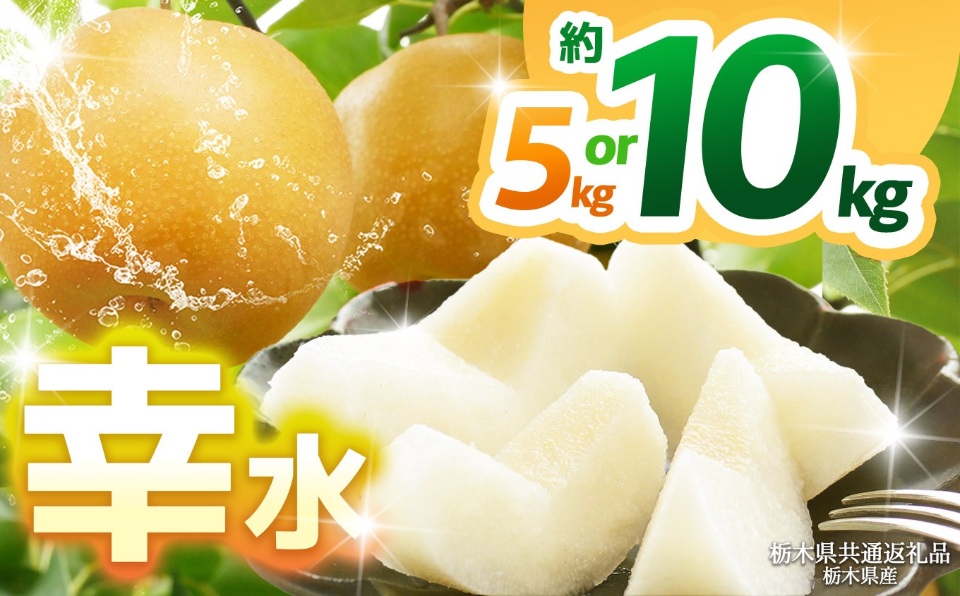 
                  【2027年先行予約】【選べるグラム数】幸水 約5kg 10kg | 【栃木県共通返礼品】梨 なし ナシ 新品種 先行予約 大粒 新鮮 甘い 美味しい 果物 くだもの フルーツ ふるーつ 共通返礼品 フルーツ デザート 栃木県 那珂川町
                