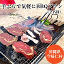 【ふるさと納税】手ぶらで気軽にBBQプラン（2名様）