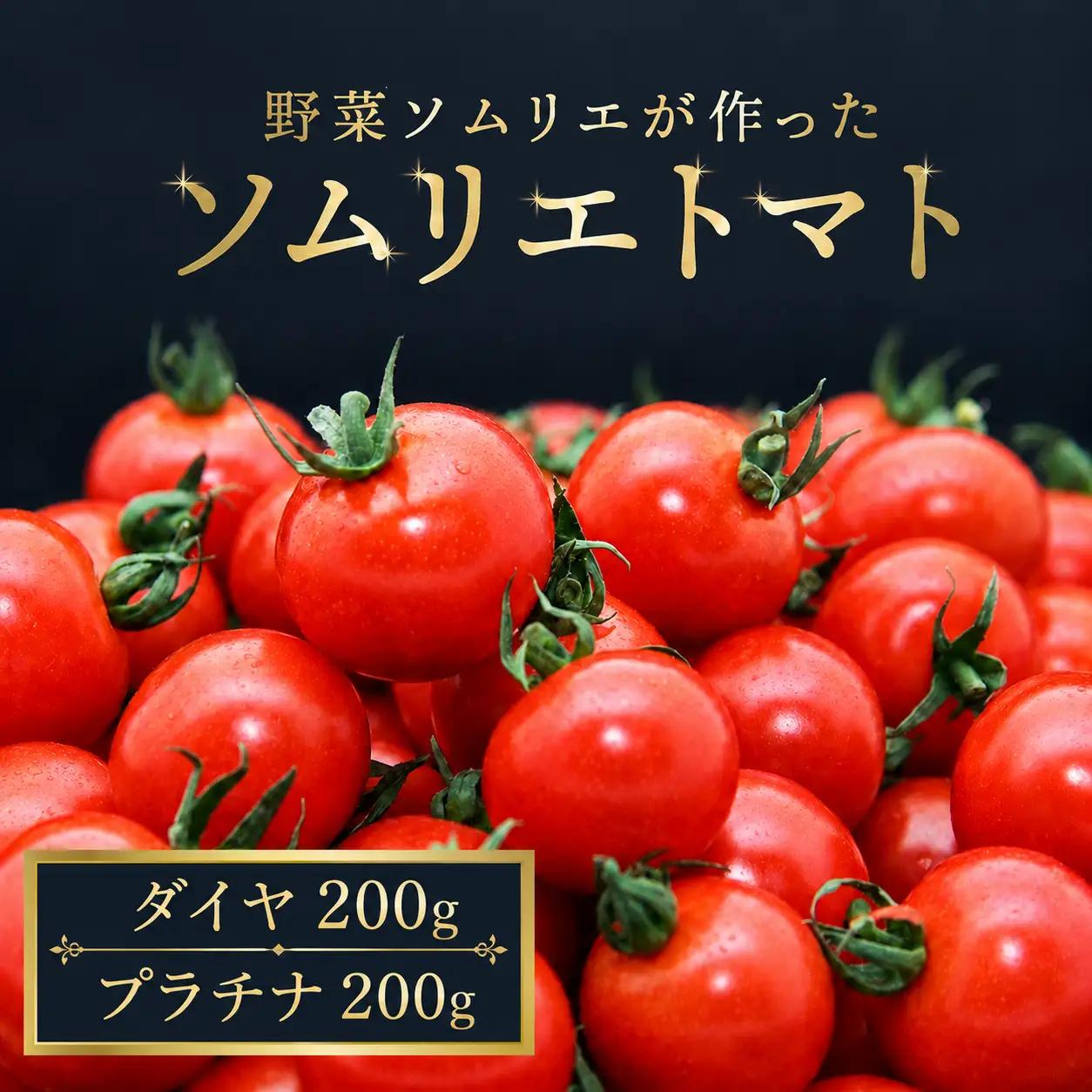 ミニトマト 食べ比べ400g (プラチナ＆ダイヤ)｜レッドアップ ※メール便でお届け