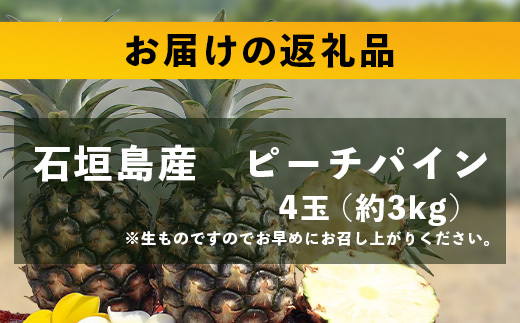 【先行予約】石垣島産 ピーチパイン (4玉 約3㎏) 《5月上旬頃より順次発送》石垣さんちの石垣トロピカルファーム TP-11