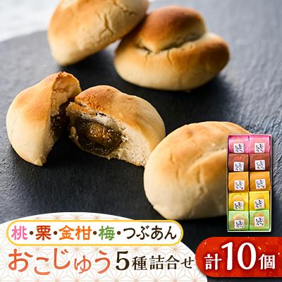 ふるさと納税 あきる野市 おこじゅう詰め合わせ(10個入)【お茶ぞっぺの中島屋(あきる野の匠)】