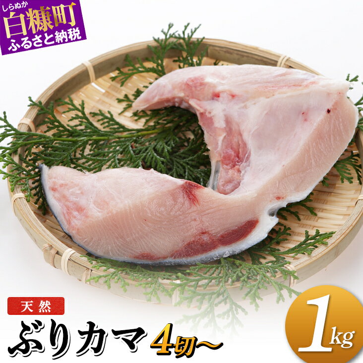 【ふるさと納税】【訳あり】 天然ぶりカマ 1kg ふるさと納税 魚 ぶり 天然 鰤 ブリ 鍋 北海道 国産 白糠町 カマ焼き ブリ大根 カマ 塩焼き わけあり ふるさと