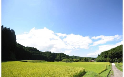 【JA阿蘇小国郷】令和7年産 新米 あきげしき 5kg 精米 産直 検査米 ノンブレンド米 単一原料 お米 白米 精白米 銘柄米 阿蘇小国のお米 熊本 阿蘇 小国町 産地直送 国産米 日本産 地場産 