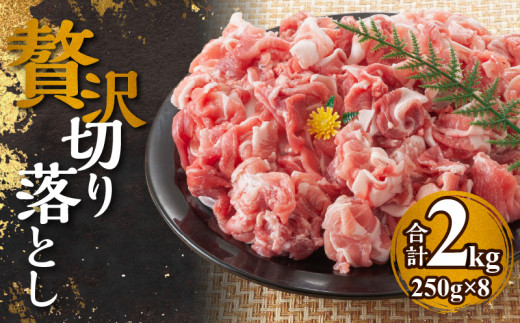 
【北島麦豚】贅沢切り落し 2kg(250g×8パック) 豚肉 北海道
