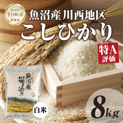 ふるさと納税 十日町市 【令和7年産】 魚沼産 川西 こしひかり 8kg 精米 新潟県産 お米 産地直送 十日町