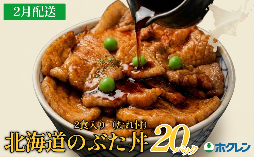 【2月配送】ホクレン 北海道のぶた丼 （2食入り）250g×20袋 北海道産 豚肉使用 産地直送 冷凍
