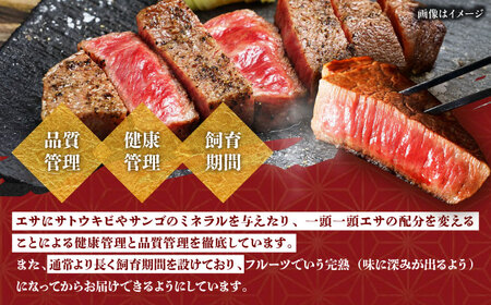 【厳選！おすすめ部位】沖縄和牛 佐渡山牛 ステーキ肉 500g ステーキ 牛肉 和牛 焼肉 赤身 沖縄市 / 肉のサブロー[BCBC001]