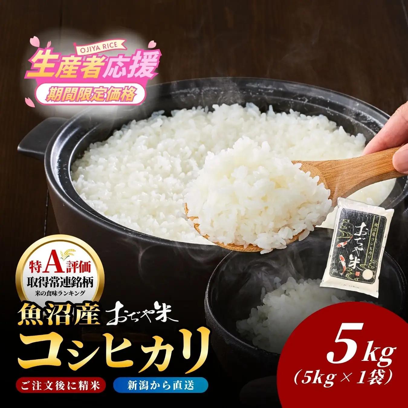 【ふるなび限定】魚沼産コシヒカリ 精米 5kg おぢや 小千谷市 コシヒカリ FN-Limited-PR