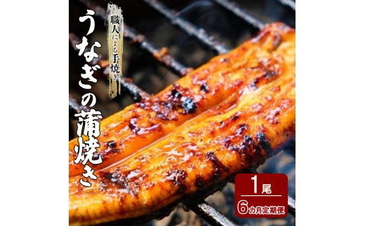 
定期便 6回 うなぎ 職人による手焼き うなぎの蒲焼き 定期便(1尾×6ヵ月) ウナギ
