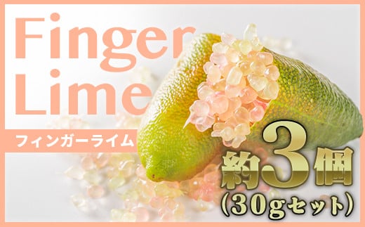 
フィンガーライム ３個程度（合計30g）【FINGER LIME JAPAN公認】（発送：通年7月〜12月頃）キャビア ライム フルーツ キャビア 尾鷲 ふるさと納税　SY-3
