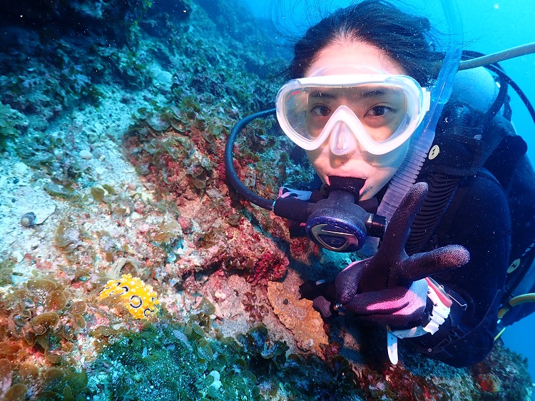 ウミウシダイビング（2回分） 【ダイバー（Cカード所持者）限定】スキューバダイビング チケット ダイビング【kdc002】