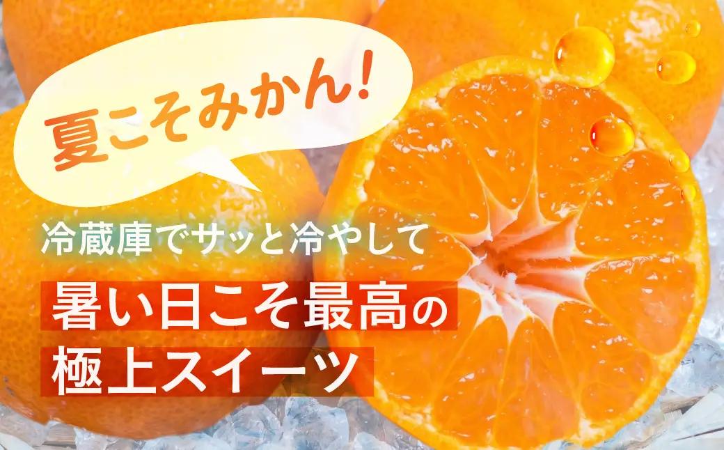 【先行予約】伊良湖 温室みかん 2kg みかん フルーツ