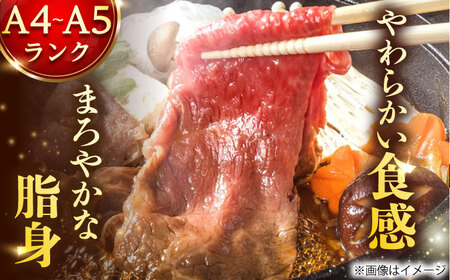 【全6回定期便】【A4～A5】長崎和牛切り落とし　1kg(500g×2p）【株式会社 MEAT PLUS】[DBS055]
