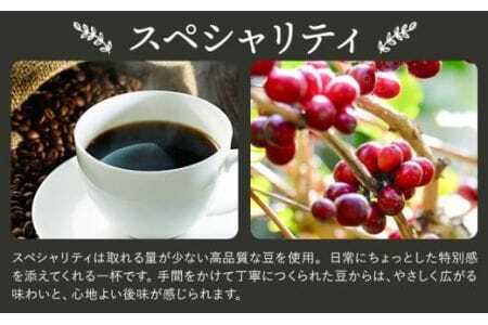 Cコーヒーギフト スペシャリティ 180g モカブレンド 180g 豆 