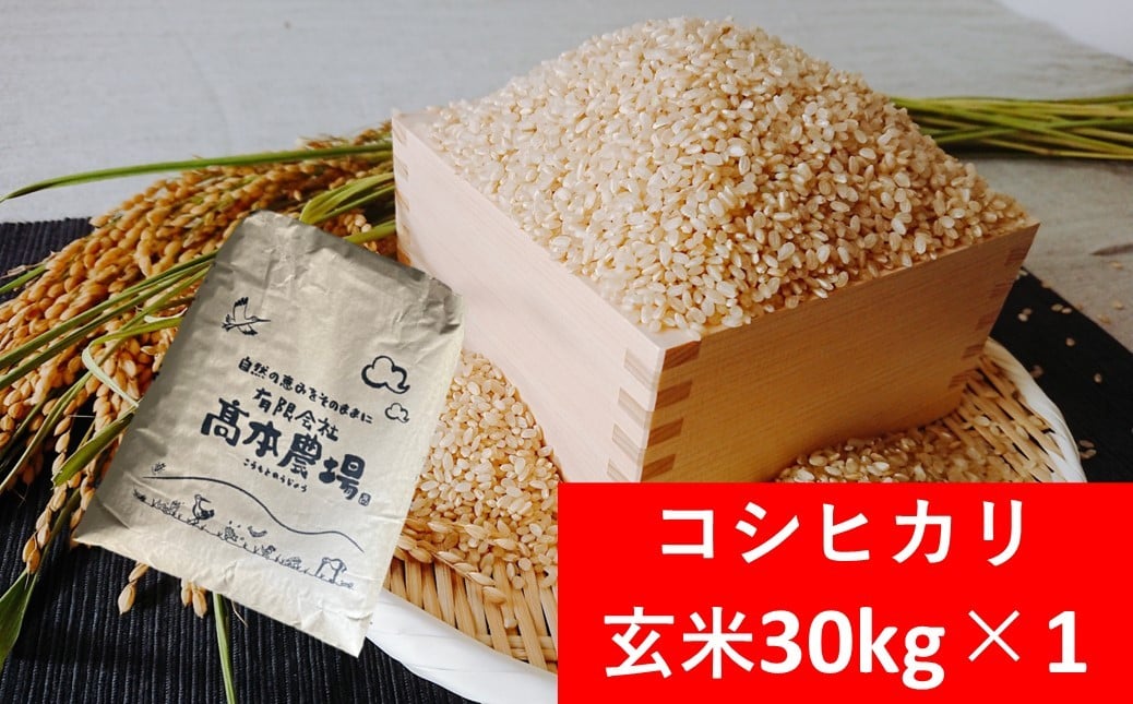 
            【R7新米】高本さんちのお米 コシヒカリ 玄米 30kg×1袋 令和7年産 新米 減農薬 コシヒカリ お米 安心 安全 良質 特別栽培米 美味しい 高本農場
          