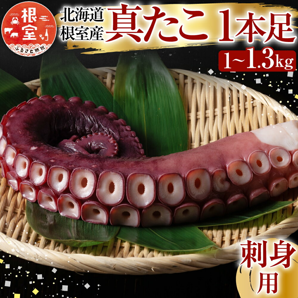 【ふるさと納税】 [北海道根室産] 真たこ 1 本足 1 ~ 1.3kg 蛸 タコ お取り寄せ グルメ 海鮮 蛸足 たこ足 タコあし 蛸あし たこあし マダコ 真蛸 真ダコ まだこ タコ飯 蛸飯 たこ飯 たこめし 刺身 マリネ 北海道 根室市 ふるさと納税 A-19004