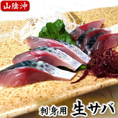 山陰産　生サバのお刺身【配送不可地域：離島】【1388344】