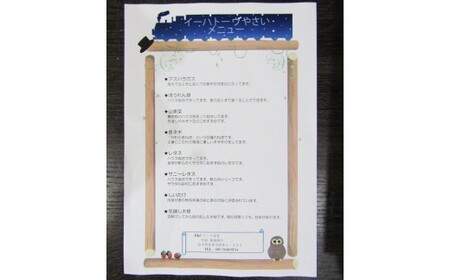 【定期便3ヶ月】イーハトーヴ野菜A お試しセット6品～ 【293】