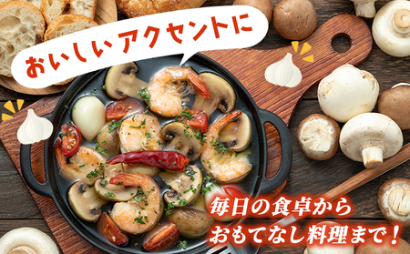 ＜西予市産 朝霧にんにく（乾燥小袋）1袋20g入り 5袋セット＞ 国産 ニンニク 小分け 5袋 セット 愛媛県産 野菜 やさい ドライ 大粒 ストック 薬味 特産品 ノムランド 愛媛県 西予市【常温】