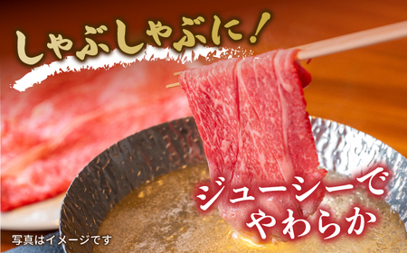 【3回定期便】【A4-A5】 長崎和牛 肩ロースすき焼きしゃぶしゃぶ用 約600g 長与町/meat shop FUKU[ECS058]