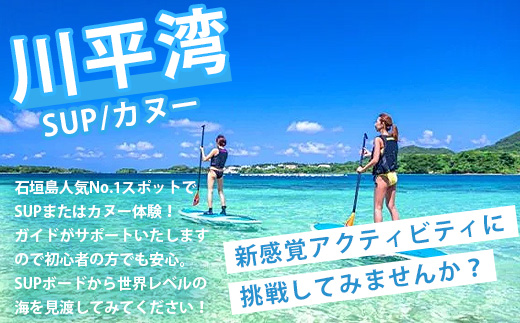 石垣島の自然を満喫！石垣島1日アクティビティ (利用券 1名様分) NS-2