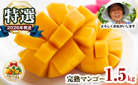 【2026年発送】特選　沖縄はえばるフルーツ市場　完熟マンゴー1.5kg