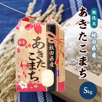 ふるさと納税 八郎潟町 【新米先行受付】あきたこまち 5kg【精米・無洗米】令和8年産 秋田県産 こまちライン