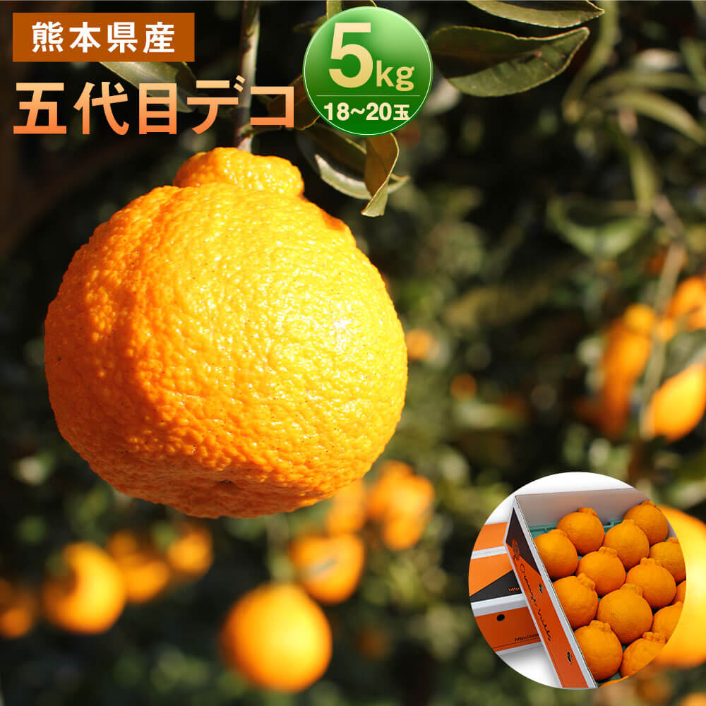 【ふるさと納税】五代目デコ 5kg 2L〜3L 18玉〜20玉 デコポン 不知火 九州産 熊本県産 果物 みかん 柑橘 送料無料【2026年2月下旬-6月下旬発送】