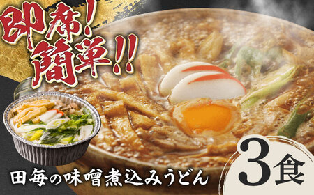うどん 田毎の味噌煮込みうどんセット [ANFP002] うどん