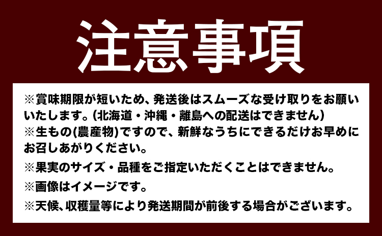 人気フルーツ全3回（7月・9月・11月）定期便 厳選館《7月上旬-11月末頃出荷》和歌山県 日高川町 果物 フルーツ 和歌山の 桃 種なし ピオーネ 有田 みかん 送料無料【配送不可地域あり】{【配送