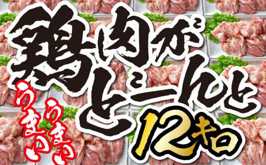 鶏肉 もも肉 大容量 国産 オヤマ鶏 12kg 〈 2kg × 6 〉 冷凍 国産鶏もも 鶏もも モモ肉 鶏モモ 鶏肉 とりにく とり肉 お弁当 惣菜 おかず 冷凍肉 国産鶏肉 BBQ 唐揚げ チキン南蛮 肉 大量 ストック まとめ買い  岩手県 一関市