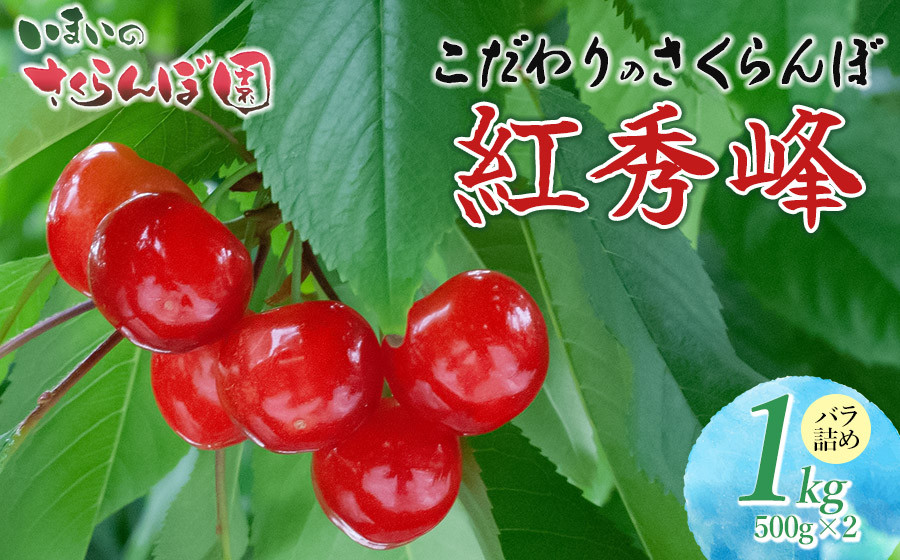 
                  【令和8年産先行予約】 こだわりのさくらんぼ「紅秀峰」(2Lサイズ以上)　バラ詰め 1kg（500g×2)　いまいのさくらんぼ園 K-866
                