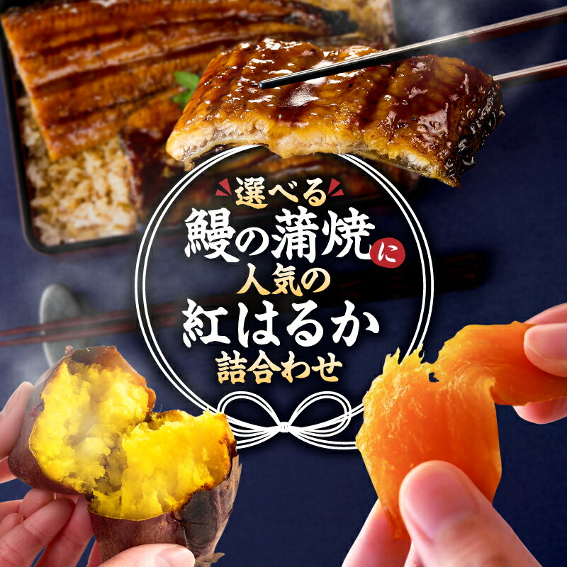 【ふるさと納税】＜選べる容量＞ 鰻の蒲焼に人気の紅はるか詰め合わせ 鰻 焼き干し芋 冷凍焼き芋 クラウドファンディングで応援 訳あり 訳アリ 規格外 うなぎ まがりうなぎ 蒲焼 焼き芋 干し芋 ふるさと納税3.0 オキス 鹿児島 鹿屋市 おすすめ ランキング プレゼント ギフト