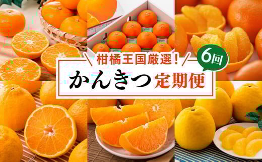 
            【定期便】【愛媛県共通返礼品】愛媛のかんきつ定期便（全6回）（日の丸みかん・紅まどんな・伊予柑・不知火・せとか・河内晩柑)｜みかん 蜜柑 日の丸みかん 紅まどんな 伊予柑 不知火 デコポン せとか 河内晩柑 柑橘 フルーツ 濃厚 甘味 甘い 愛媛みかん 国産 愛媛県産 果物 くだもの 絶品 美味しい お取り寄せ 愛媛 久万高原町 ※2025年11月下旬～2026年4月下旬頃に毎月1回発送
          