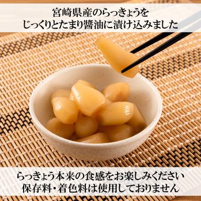 ふるさと納税 三股町 純国産たまりらっきょうセット(130g×10袋・計1.3kg)【MI012】 |  | 01