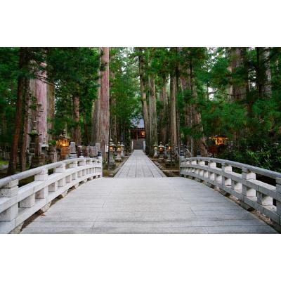 ふるさと納税 橋本市 高野山麓　極ごまとうふ5個入　湯浅金剛空海醤油付き |  | 03